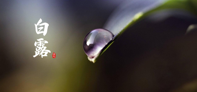 百岁无忧.，微信头像，百岁无忧.（十五首白露诗词）