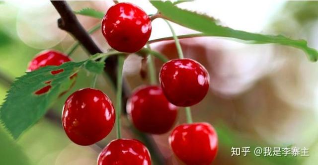 时光荏苒是什么意思啊，时光荏苒是什么意思啊下一句（别再用“光阴似箭日月如梭”）