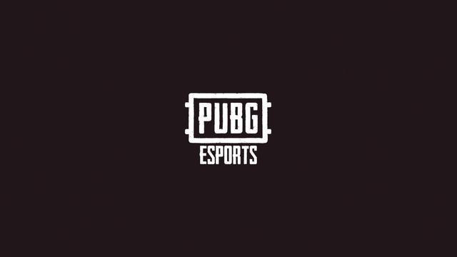 pubg有国服吗，国服上线不是奢望