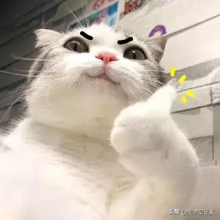 露华浓口红怎么样，露华浓黑管口红怎么样（有哪些值得入手的口红色号）