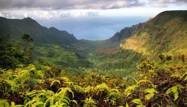 白垩纪恐龙有哪些，三叠纪恐龙有哪些（侏罗纪和白垩纪有何不同）