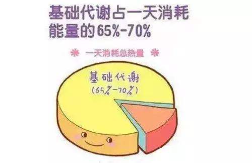 基础代谢率怎么计算？基础代谢率计算公式