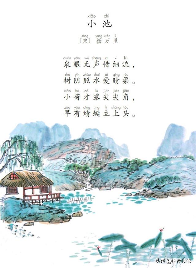 小池描写的是什么地方的景色，《小池》这首诗描写的是什么地方的景色（古诗文学习031：一年级下册）