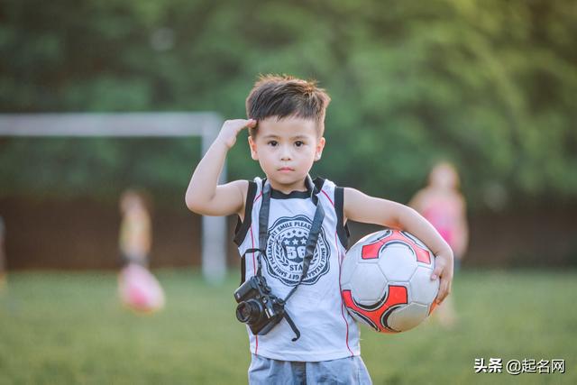枕上书怀中猫网名，枕上书怀中猫（有种朦胧的勃勃生气）