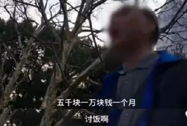 生鸡蛋加啤酒壮阳吗，喝啤酒加鸡蛋能增强性功能吗（是中国惨绿青年们的壮阳焦虑）