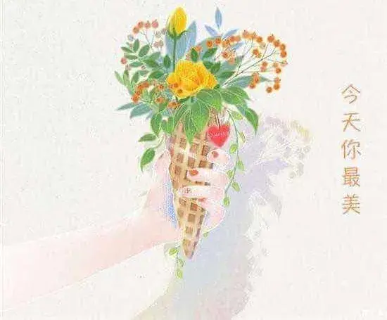 洋甘菊花语寓意，洋甘菊的花语和寓意是什么（礼赞•花语）