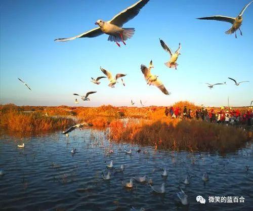 什么的大海填空，秋天的大海