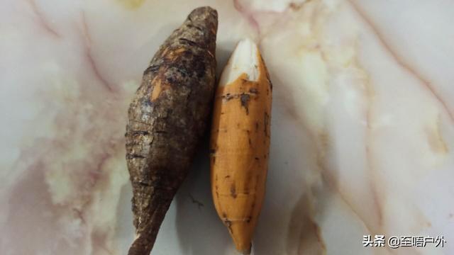 千斤拔别名叫什么名字，千斤拔别名（一种生长于山上可食用也可以泡酒的佳品）