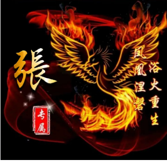 女凤凰，微信头像，女凤凰（浴火重生的微信姓氏头像送给你）