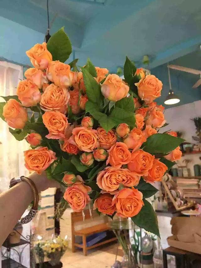 各种玫瑰花的含义，各色的玫瑰花有什么含意（一篇文章认全花店必备80种玫瑰花）