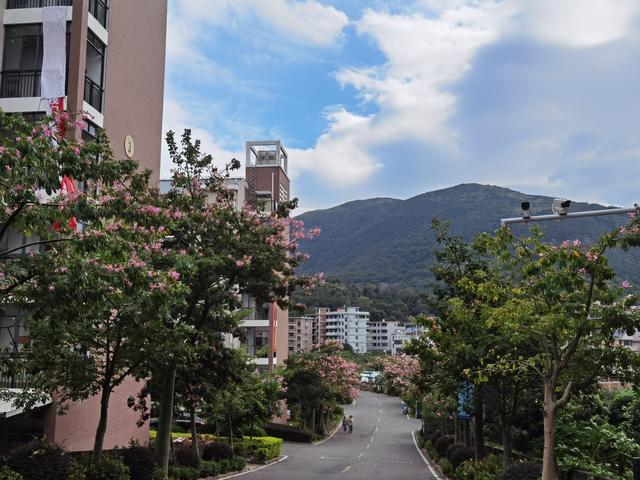 福州外语外贸学院官网，福建语言类大学排名（大学推荐——福州外语外贸学院）