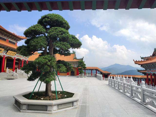 阳江飞龙寺在哪里，阳江飞龙寺的由来（天涯海角——广东阳江飞龙寺）