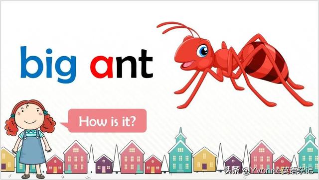 a的大写是什么，大写a表示什么意思（一起来学习英语字母A）