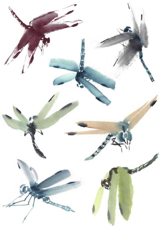 蜻蜓简笔画，蜻蜓简笔画彩色（老艺术家教你几个画法）