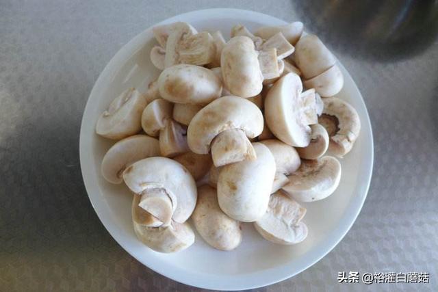 白蘑菇的搭配禁忌，白蘑菇食用禁忌（吃过白蘑菇做饺子馅的饺子吗）