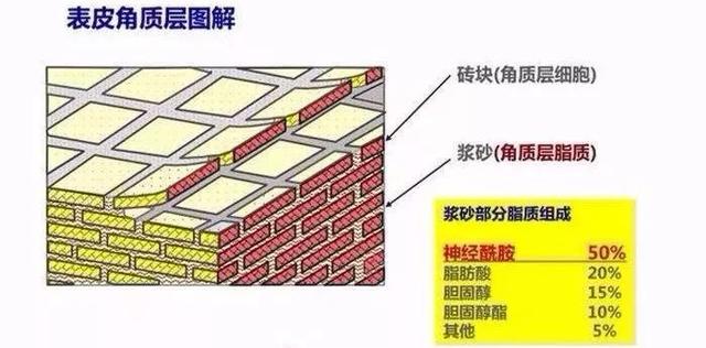 缤肌是正规牌子吗，缤肌是正规牌子安全吗