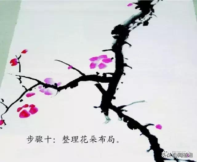梅花13怎么手绘画，教梅花13怎么画（国画入门教程——梅花的画法）