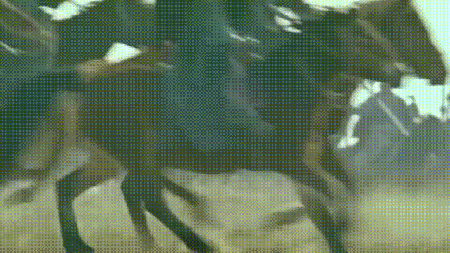 铜祖是什么东西，铜祖是什么东西图片（这座古墓似是跨越了几千年的时空）