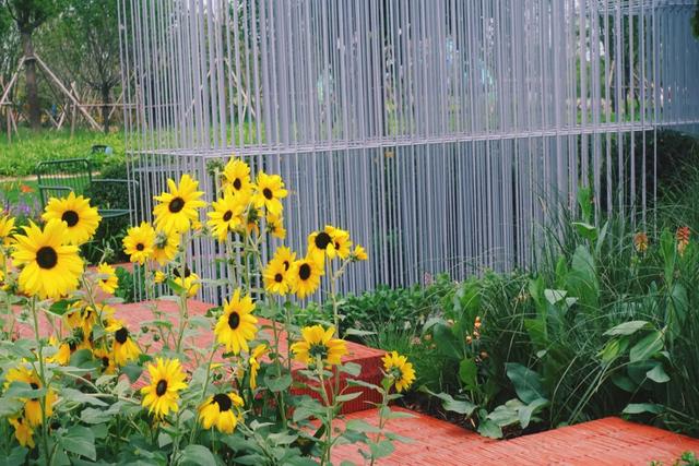 有创意的园林名字，有创意的园林名字大全（究竟蕴含着哪些景观设计）