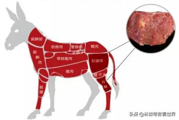 林森带你看世界——品尝长治潞安府的三宝之一腊驴肉，腊驴肉的做法大全