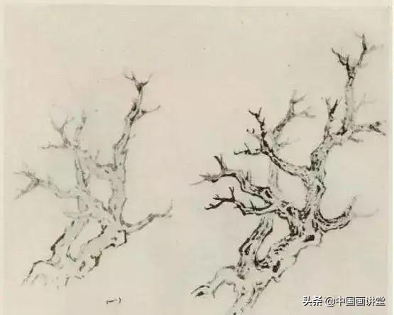 大树怎么画，大树怎么画的特别好看（缠枝、挺杆、屈节、钮裂、一棵树如何画）