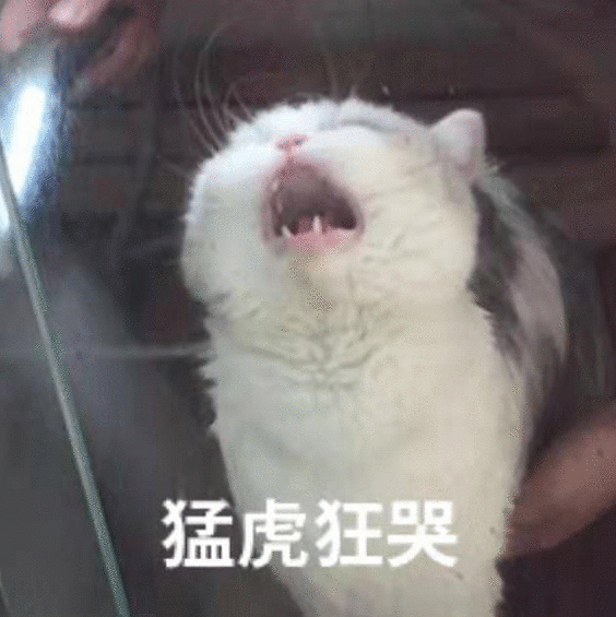 语c是什么，c语言属于什么语言（卧底00后交友群，我人傻了）