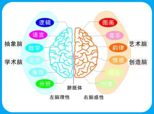 cph4指的是什么，cph4百科（开发出50%就不得了）