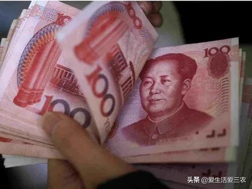 种植什么赚钱(投资1000元养殖)
