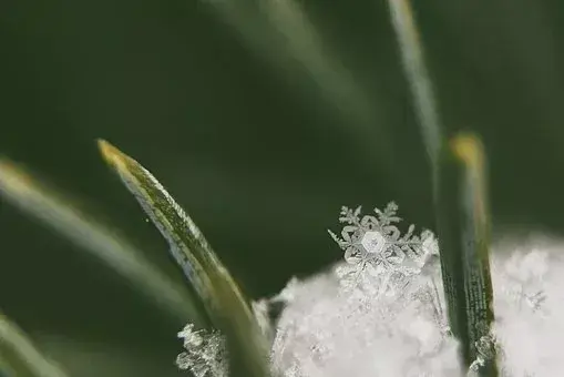 在古代可以用什么词代替雪，在古代对雪的称谓还有哪些（看看古人对雪的24种雅称）