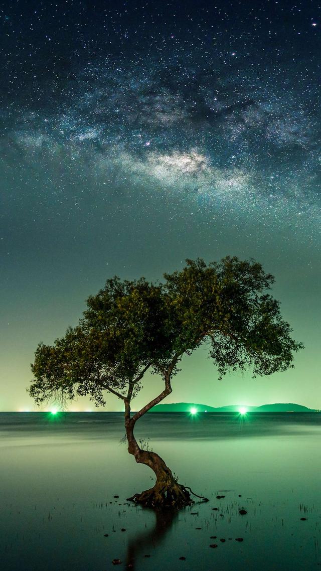 03，03年现在多大（数字的含义终于收集全了）