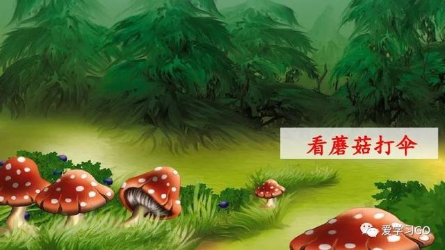 赛跑的拼音，赛跑的拼音怎么读（部编版二年级下册第23课《祖先的摇篮》知识点+图文讲解）