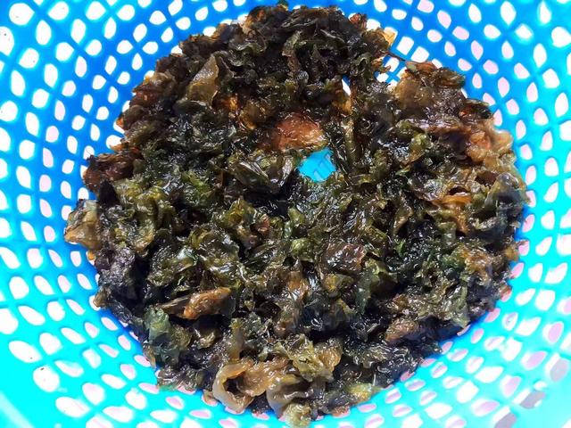 地衣怎么做好吃，新鲜地衣怎么做好吃（别小看路边的这个野菜）