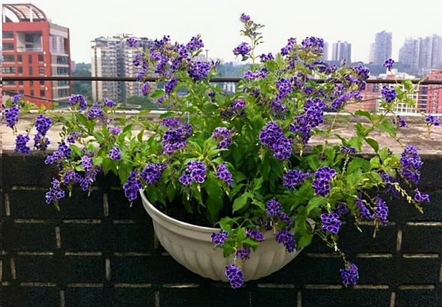 雨水是酸性还是碱性，正常雨水是酸性还是碱性（下雨多淋“雨水”）