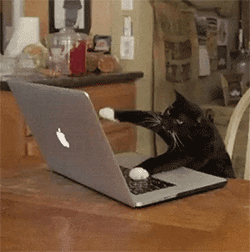 透明校服这样穿可以避免尴尬，透明校服这样穿可以避免尴尬嘛（这3种风格美呆了）