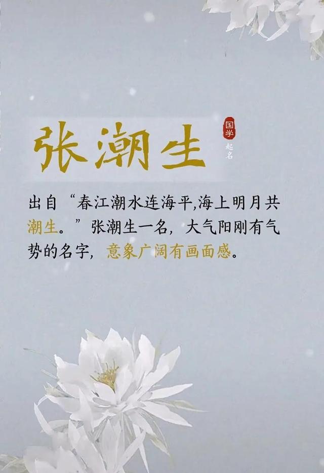 张姓取名最佳三才配置，张姓男孩起名三才配置都是木木木的起名（如何给张姓取一个自带美感的名字呢）