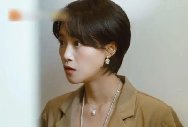 邢佳栋演的电视剧，邢佳栋演的电视剧大全（一想到段奕宏这部16集的新剧）