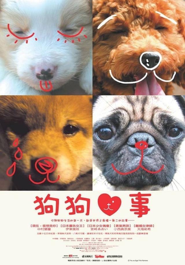 感动全球的几大狗狗电影，感动全球的九大狗狗电影