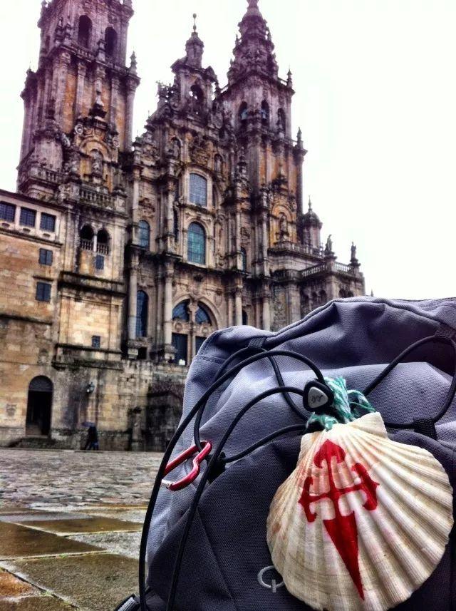 带子和扇贝的区别，带子和扇贝有什么区别（可你知道它前世今生的冷知识吗）