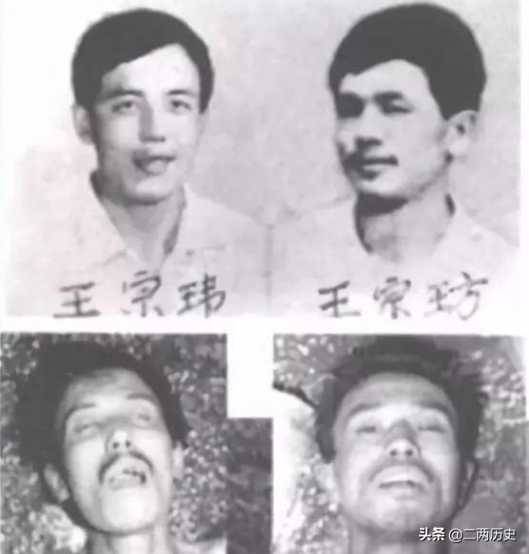 东北“二王”案件回顾：为什么案发后七个月才最终被击毙？