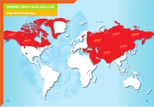 呼伦贝尔是哪个省，呼伦贝尔属于哪个省（中国哪些地方有狼）