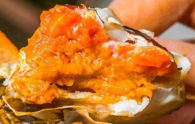 螃蟹怎么挑选，螃蟹怎么挑选才好（否则空壳还白花钱）