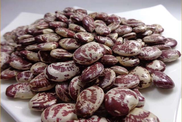 杂粮有哪些品种，粗粮都有什么（中国豆类大全）