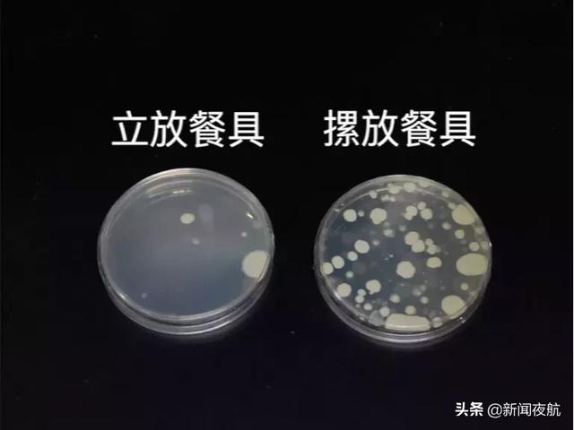 cfu是什么单位，菌落单位CFU读什么（一个实验推翻你多年的习惯）