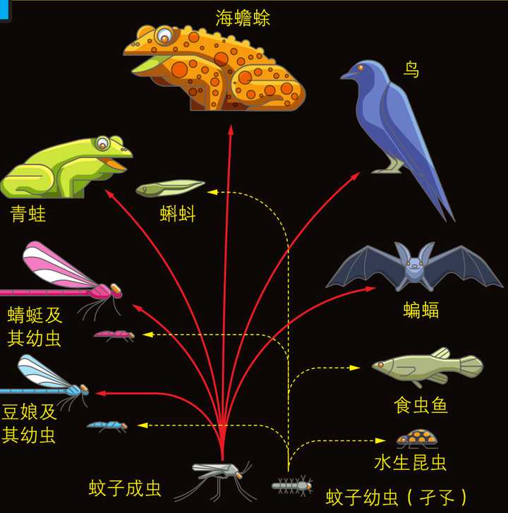 蚊子灭绝了世界会怎样(苍蝇是死去的亲人)