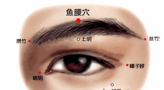 鱼腰的准确位置和作用，个个都是穴位学中的高手