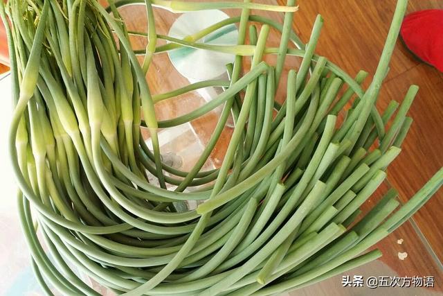 小葱和大葱的区别，小葱和大葱的区别有哪些（国内葱属蔬菜大全，你认识几个）