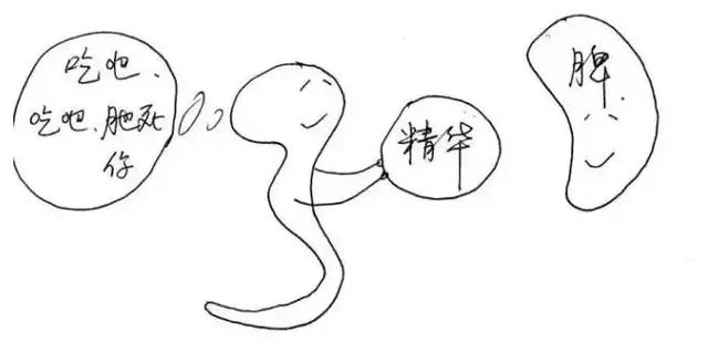 十二时辰养生对照表,子午流注十二时辰养生漫画图解 十二时辰养生对照表,子午流注十二时辰养生漫画图解