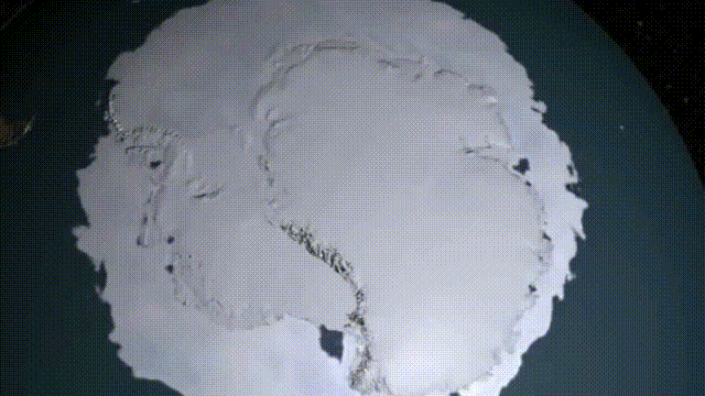 十大怪异鲨鱼，10000米长的蜈蚣（背后隐藏着一个人类起源的故事）