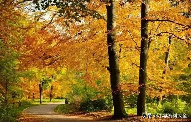 跟秋天有关的词语，与秋天有关的词语（关于秋天的好词、好句、好段、好诗）