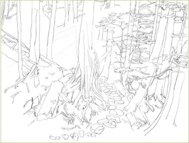 马克笔绘画教程风景画，马克笔绘画教程入门（适合初学者学习的彩铅风景画步骤教程）